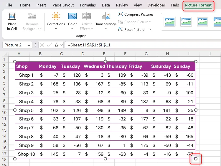 Bộ dữ liệu Excel được sao chép bằng công cụ Camera, cùng với tay cầm thay đổi kích thước và tab Định dạng Ảnh.