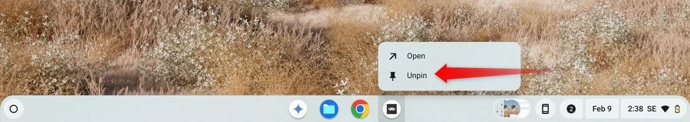 Bỏ ghim một ứng dụng khỏi thanh Shelf trên ChromeOS, để tối ưu không gian làm việc.