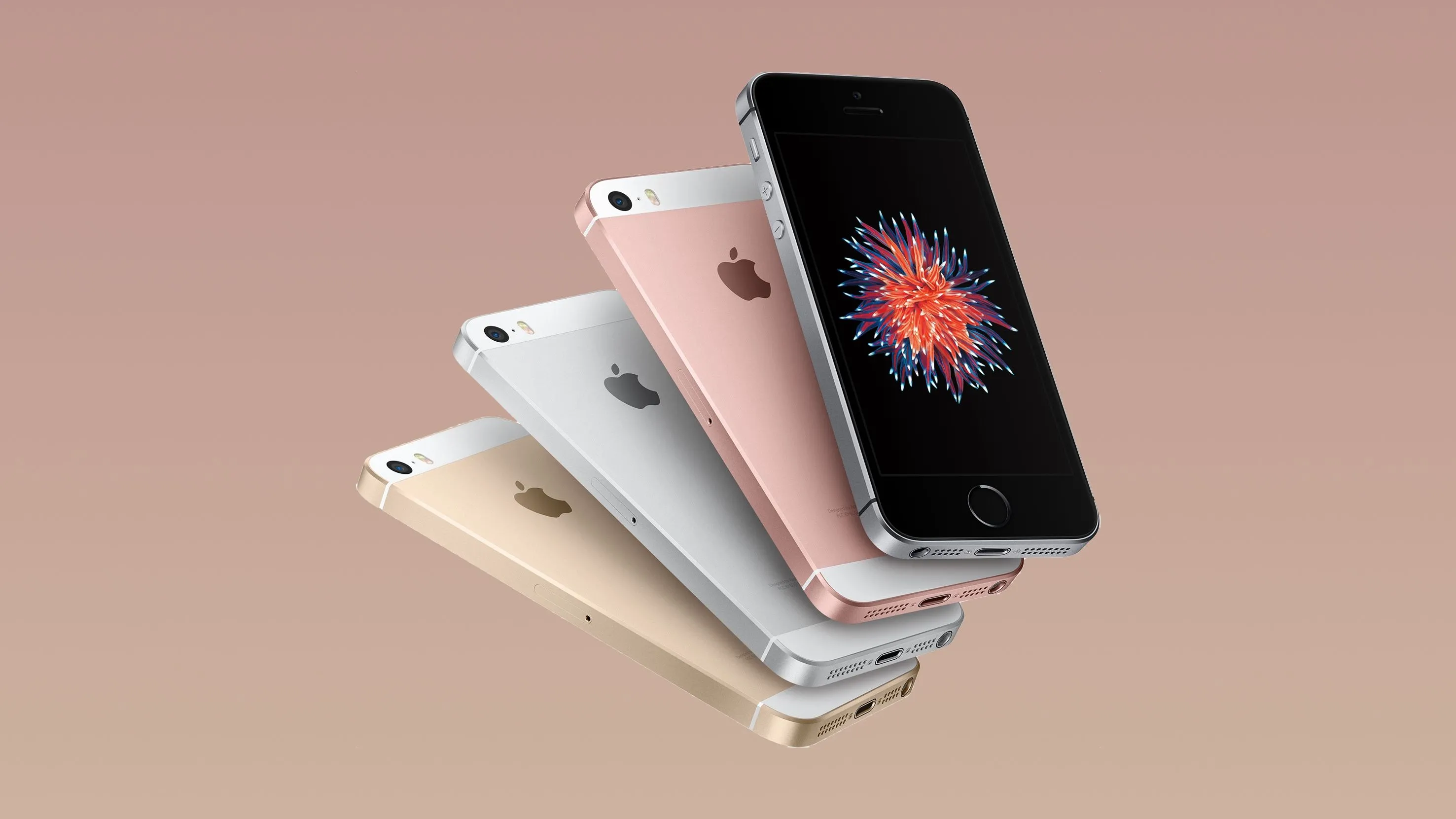 Bốn chiếc iPhone SE thế hệ đầu tiên với các tùy chọn màu sắc khác nhau.