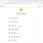 Các tùy chọn trong công cụ Kiểm tra bảo mật của Google