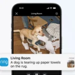 Giao diện thông báo từ camera an ninh Ring với tính năng Video Descriptions cải tiến nhờ AI