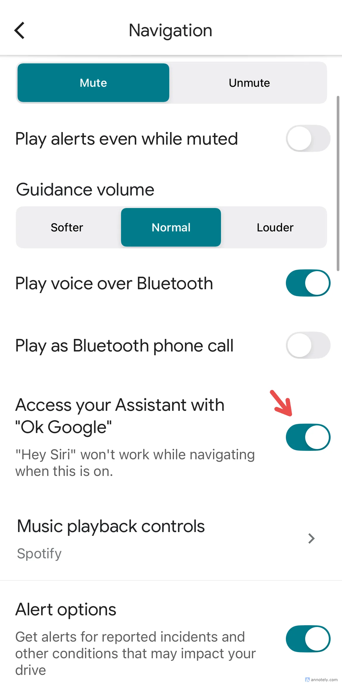 Hướng dẫn bật lệnh thoại Google Assistant trên Google Maps cho iPhone