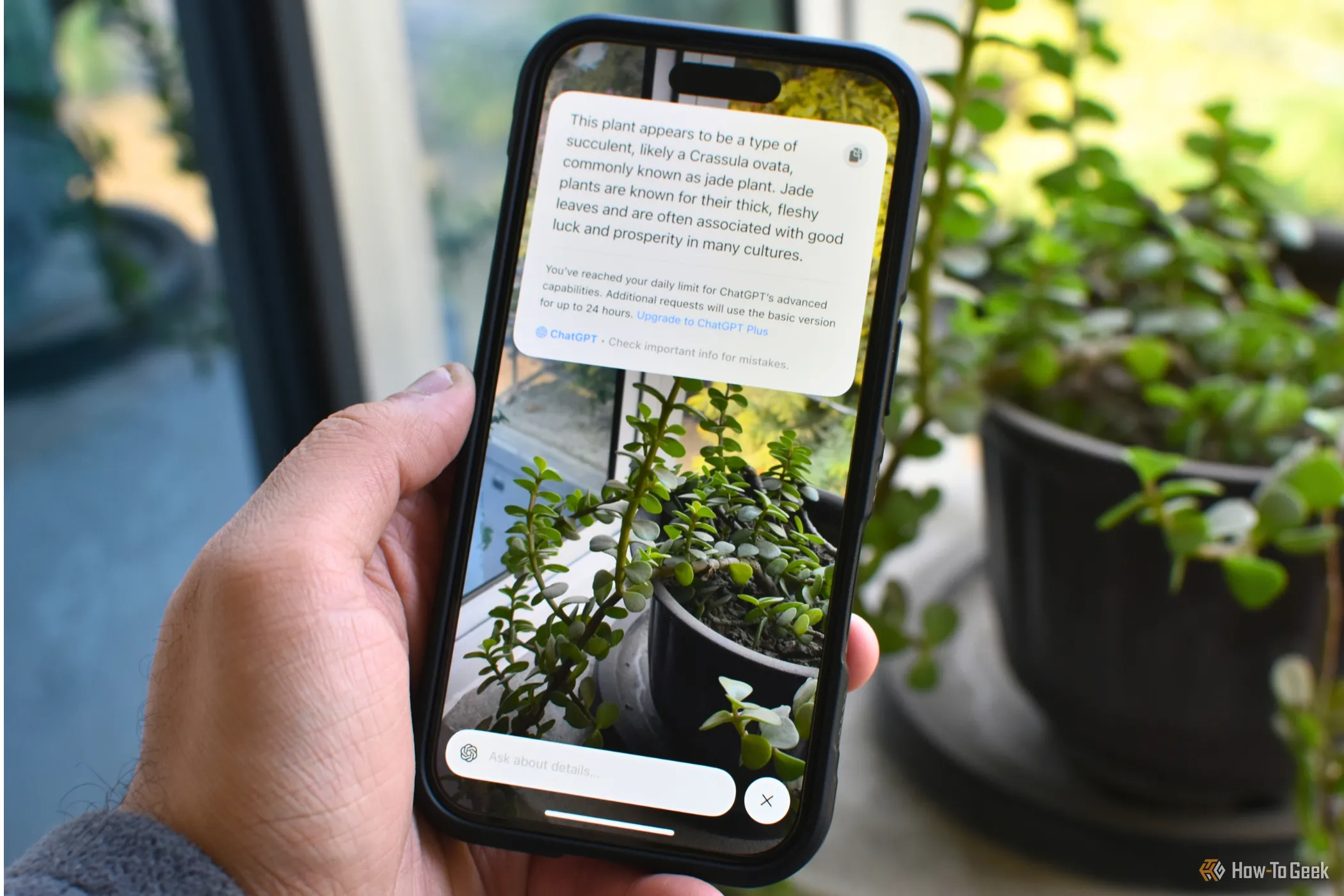 iPhone 16 với tính năng Visual Intelligence trên màn hình.