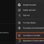 Menu "Dữ liệu của bạn trong YouTube" để quản lý lịch sử xem.