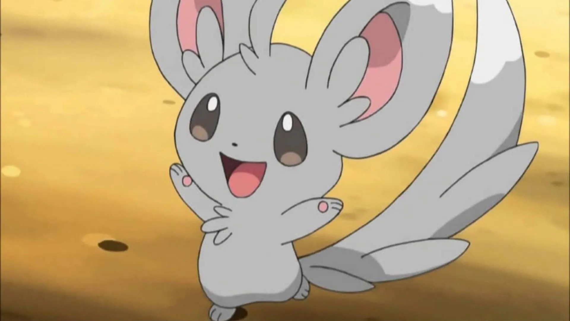 Minccino đáng yêu với bộ lông trắng muốt và chiếc đuôi dài, đang nhìn vào ống kính trong anime Pokémon.