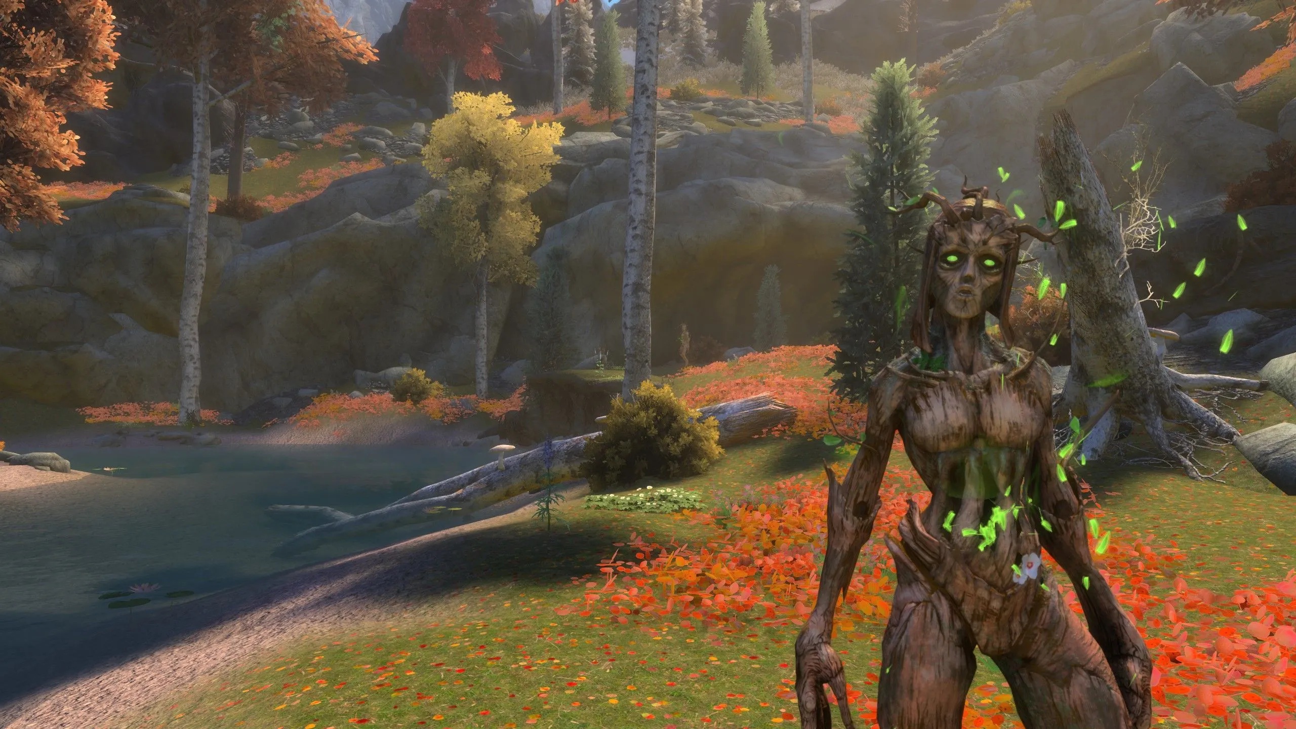 Nữ tinh linh khô mộc đứng cạnh dòng sông và cánh đồng hoa tươi đẹp trong thế giới Skyblivion