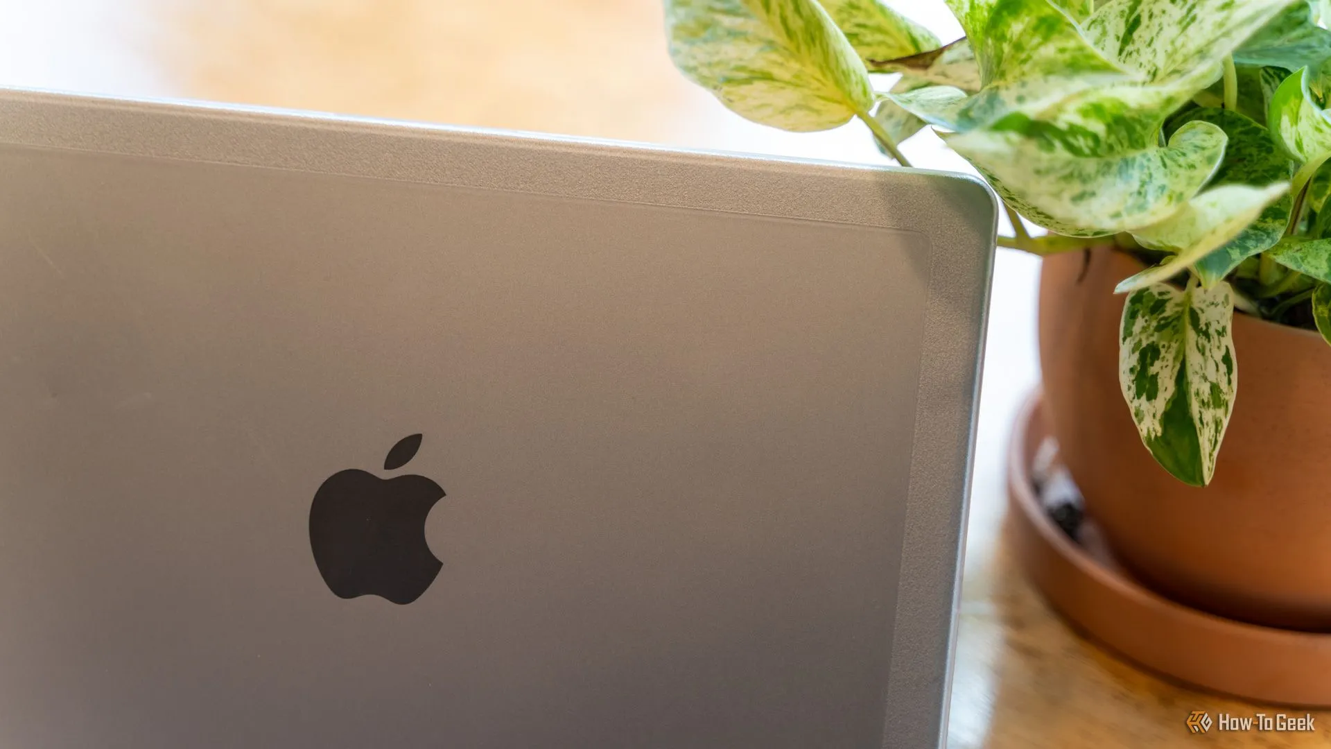 Ốp lưng Incase Edge Hardshell trên MacBook Pro 14 inch với chậu cây xanh phía sau, thể hiện tính thẩm mỹ.