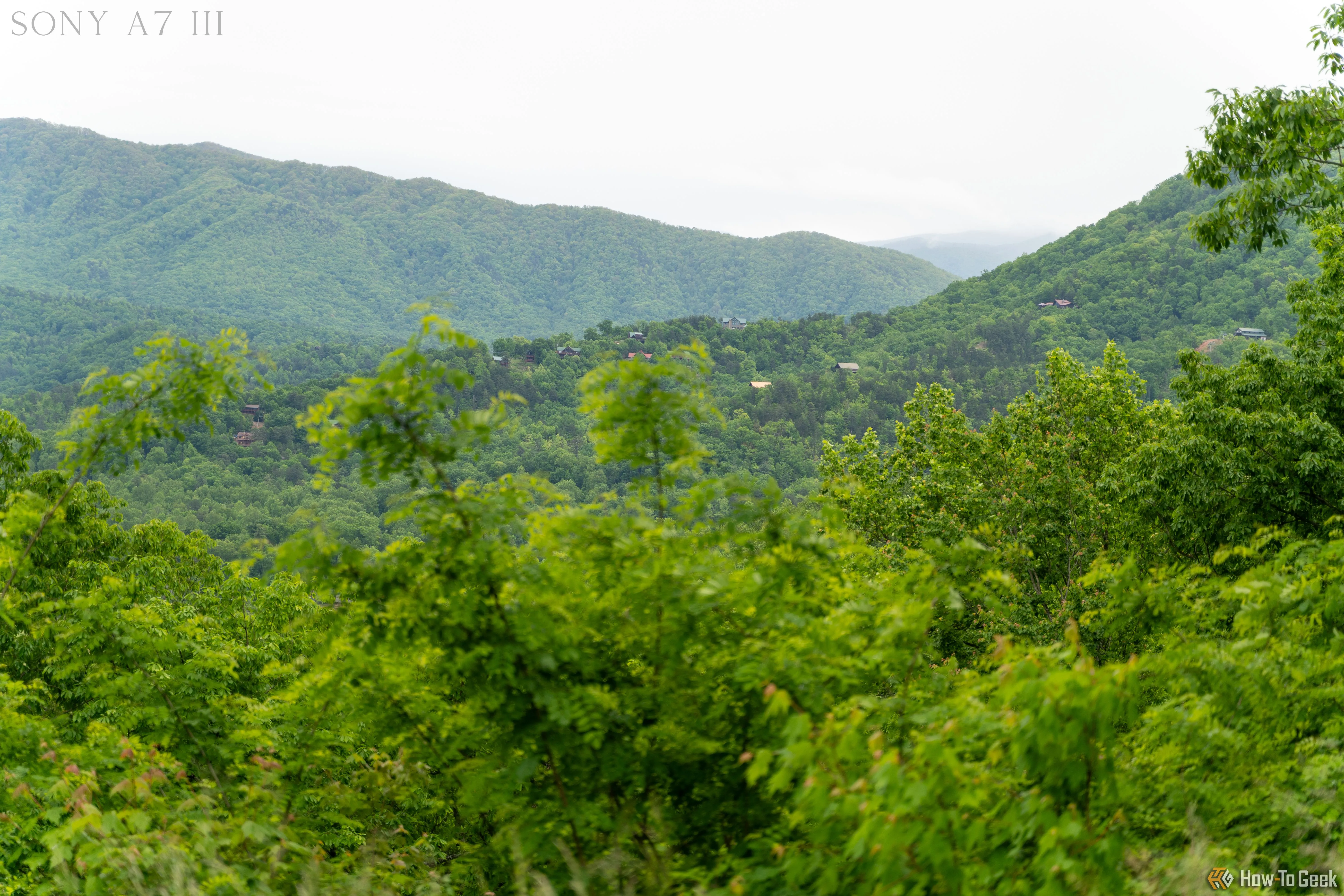 Phong cảnh núi non và cây cối tại Vườn Quốc gia Great Smoky Mountains, chụp bằng máy ảnh Sony A7 III.