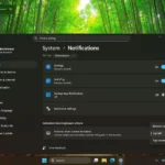 Tùy chọn vị trí biểu tượng âm lượng và độ sáng trong cài đặt Windows 11