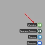 Tùy chọn WhatsApp trong ứng dụng SKEDit
