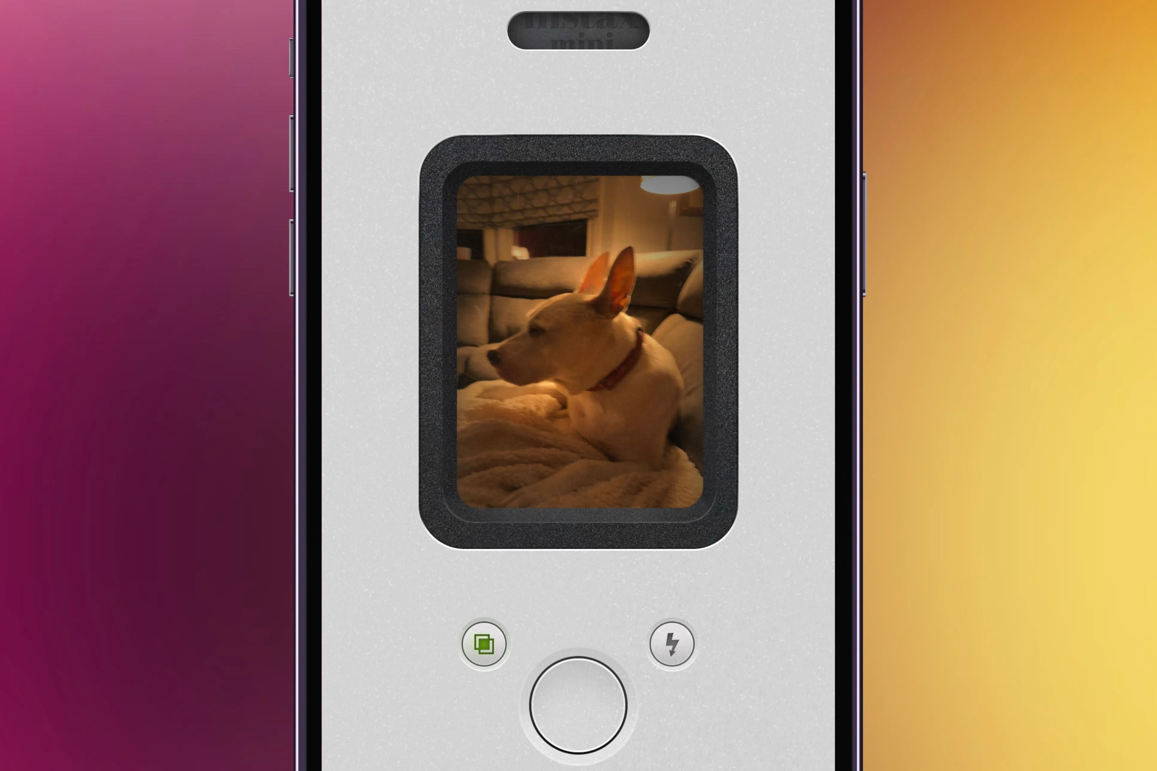 Ứng dụng NOMO Cam hiển thị ảnh một chú chó trên iPhone với nền màu sắc tươi sáng, mô phỏng máy ảnh Polaroid